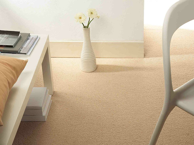 Lano Carpet Oasis - Carpet - News