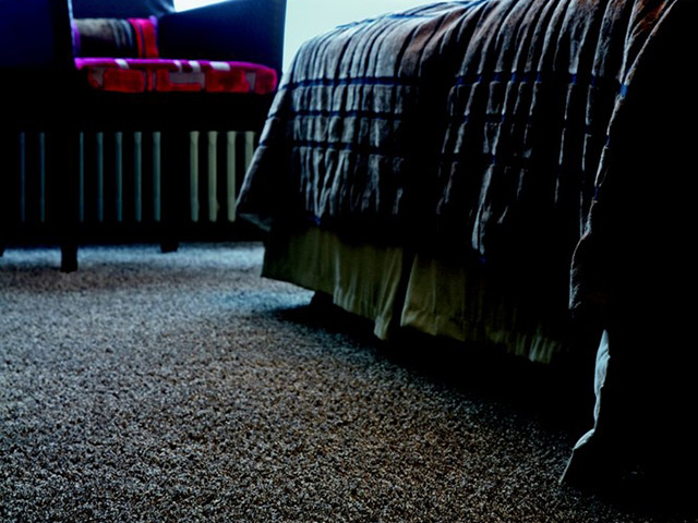 Lano Carpet Pearl - Carpet - News