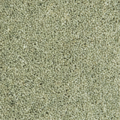 Lichen-SH4011