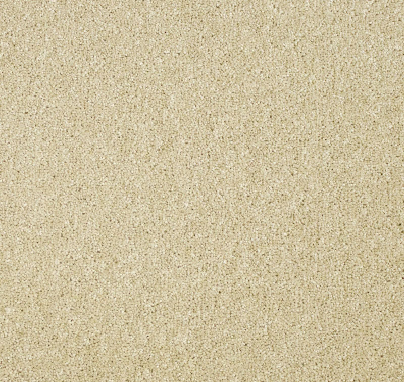 Light Flapjack 5T022