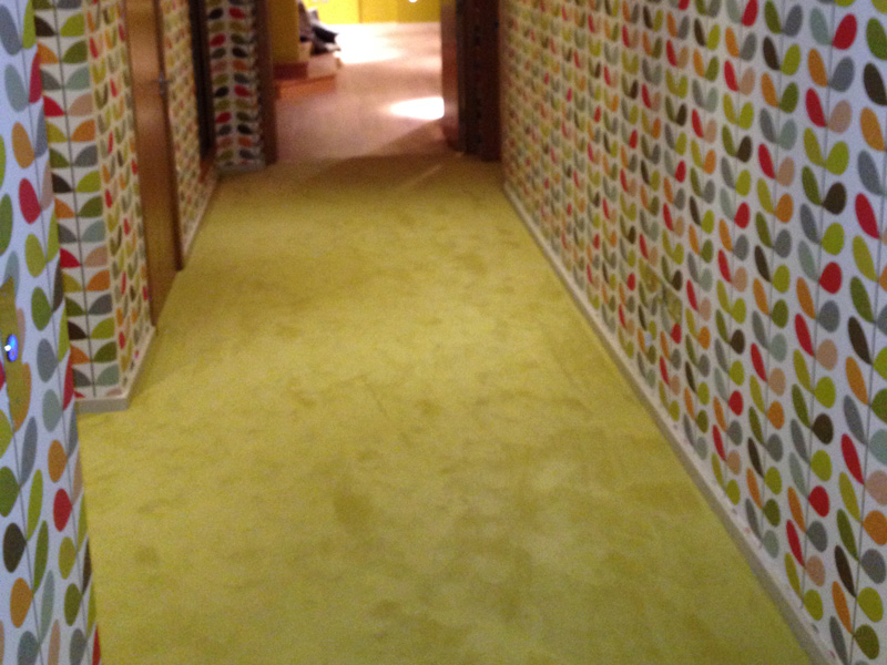 Marmoleum Flooring Installation in Kings Cross, Home