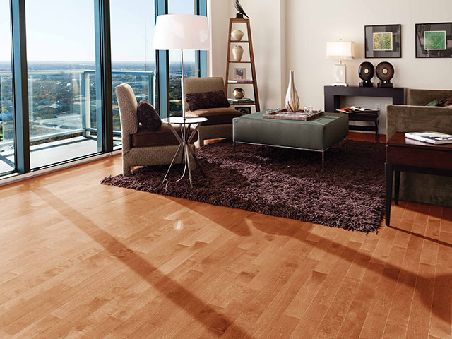 Mirage Admiration - Yellow Birch Sierra - News