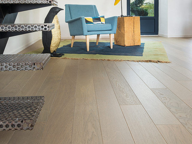 Panaget Chene CL Nat Celado Otello - News