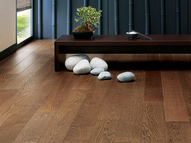 Panaget Chene CL Nat Nacre Daim Otello - News