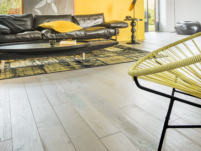 Panaget Chene Salvagio Huile Grise Otello - News