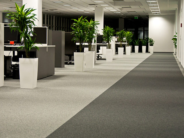 Paragon Flooring - Diversity