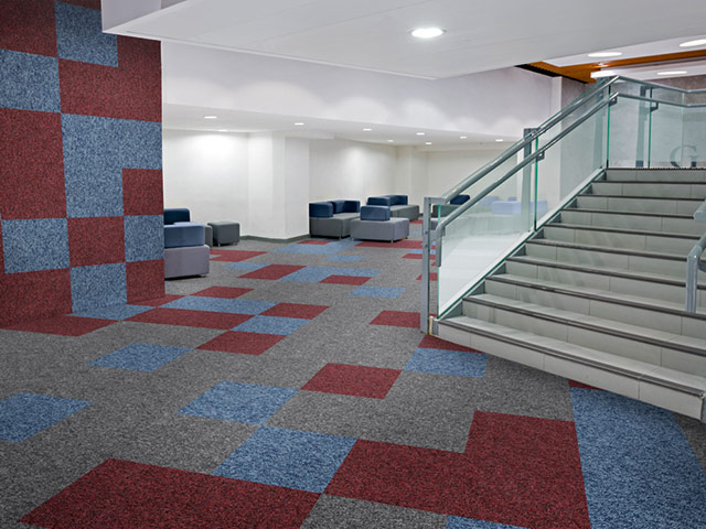 Paragon Flooring - Toccarre