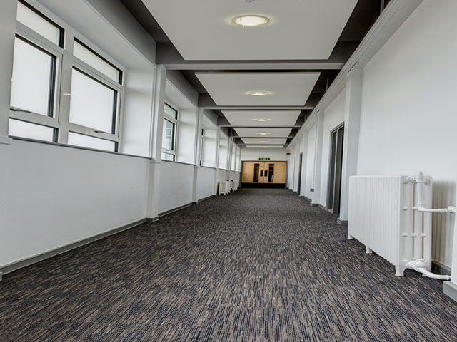 Paragon Flooring - Workspace Linear