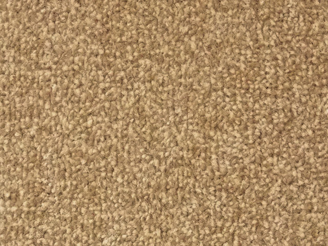 Regency Carpets Celebration Flooring