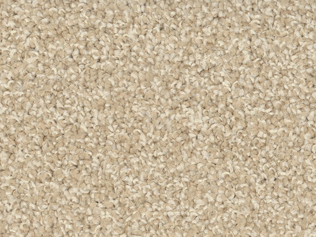 Regency Carpets Devotion Flooring