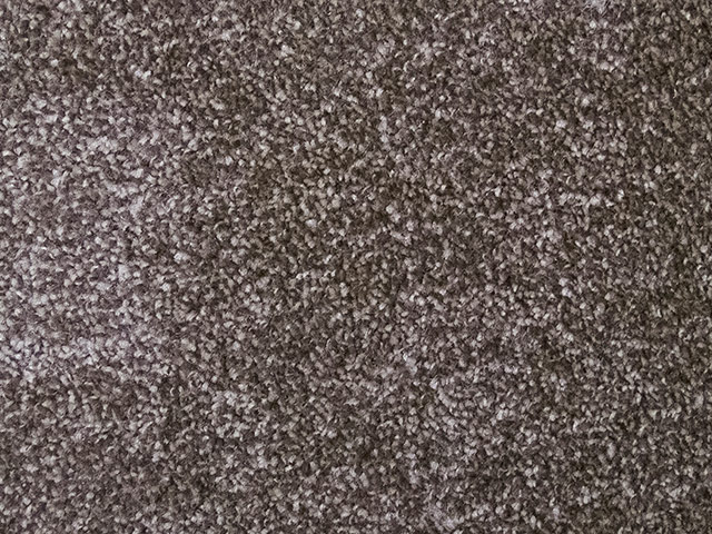 Regency Carpets Noblesque Flooring