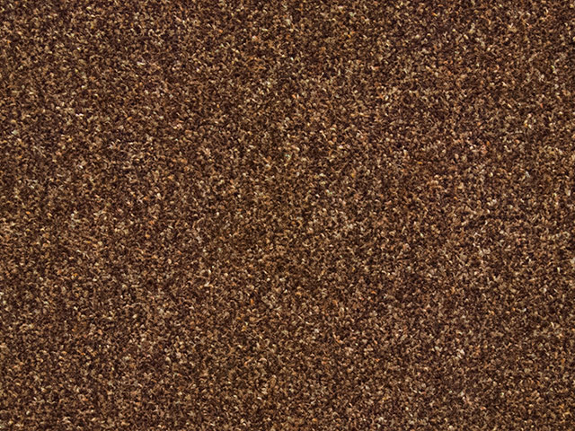 Regency Carpets Rapsody Flooring