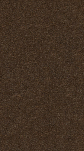 Richelieu escalier 9802