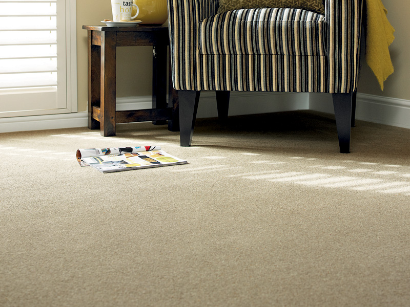 Victoria Carpets Simply Heathers Carpet - Carpet