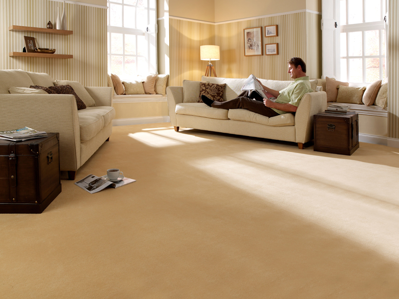 Bronte Steve Flooring - News