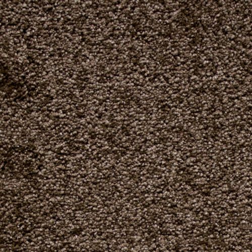Victoria Carpets EasiCare Deep Sensations Thoughts 106-06