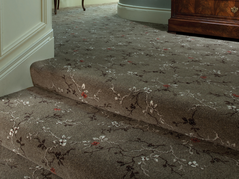 Ulster Carpets Blossom - Incense Flooring - News - Carpet
