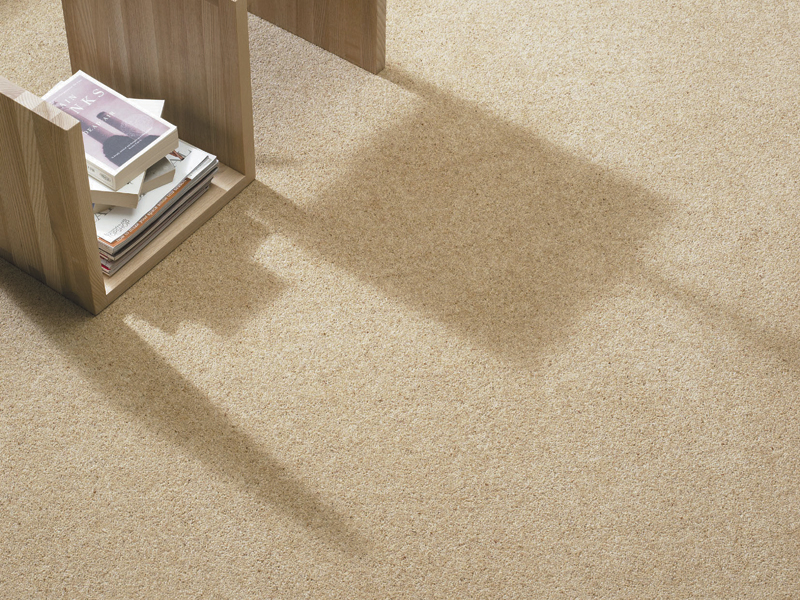 Ulster Carpets Donegal Twist - Fawn - News - Carpet