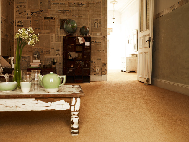 Vorwerk Carpets - Personal Treasure Oviedo