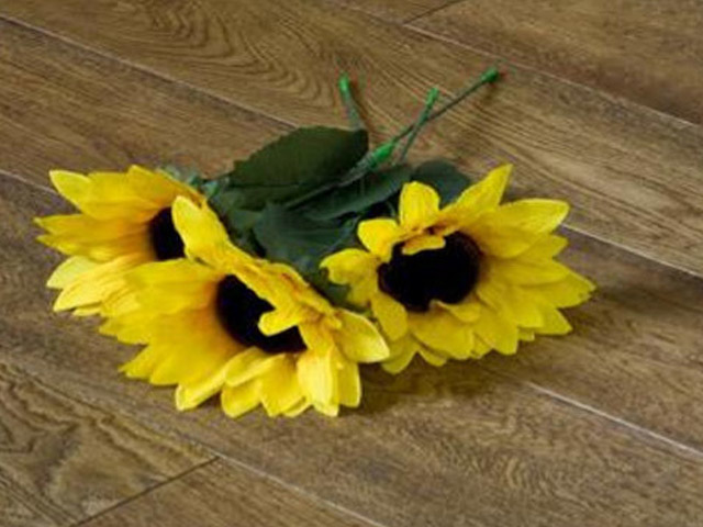 XYLO X-treme Oak X-treme D0034 1 Strip Oak Rustic Wood Flooring - News - Wood Flooring