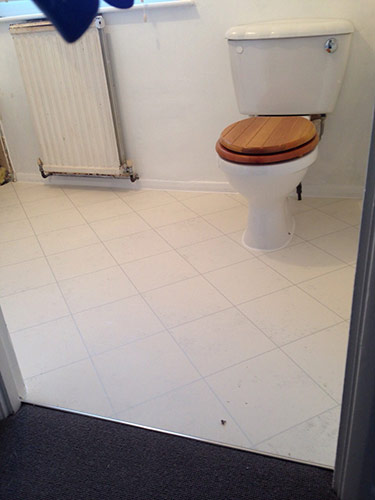 bathroom vinyl floor 2