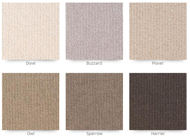 Belvedere Carpets Kensington Flooring - Guide - Carpet - Carpet