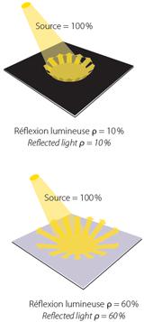 Balsan Carpets Carpet Commercial Flooring - Carpet