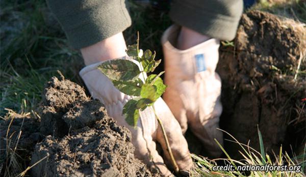 Coba Flooring Commercial Flooring - Carpet - Rubber Flooring