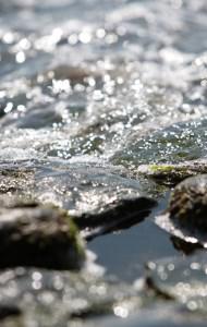 Desso Flooring Commercial Flooring - News