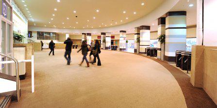 Gradus Carpets Flooring - Guide - Carpet