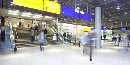 Gradus Carpets Flooring - Guide - Carpet - Carpet