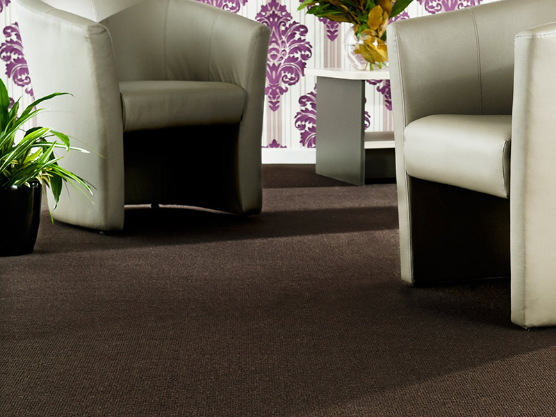 EC Group - Studio - Neutral, Carpet, overview