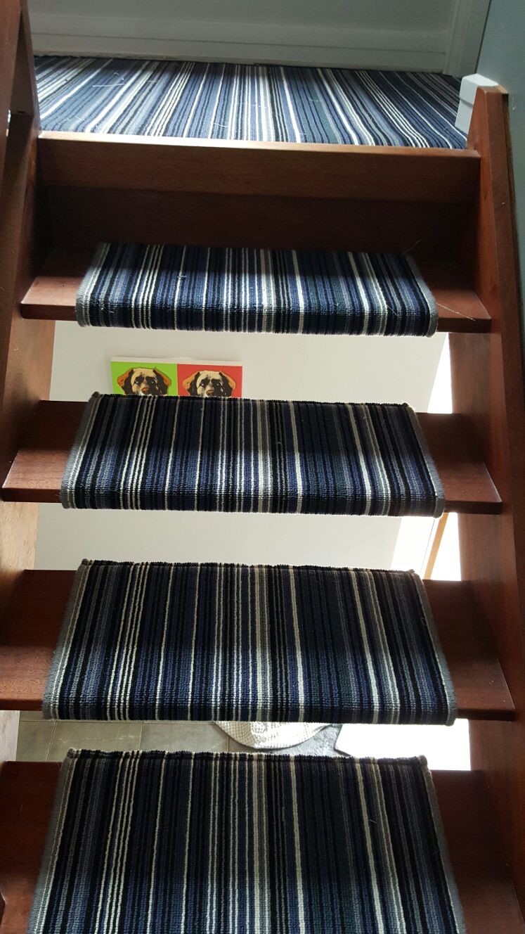 STRIPEY BLUE CARPET portfolio stairs 03