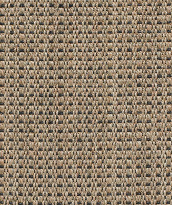 Panama New Champagne Black E221