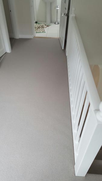 portfolio carpets brown carpet stairs 20160608 03