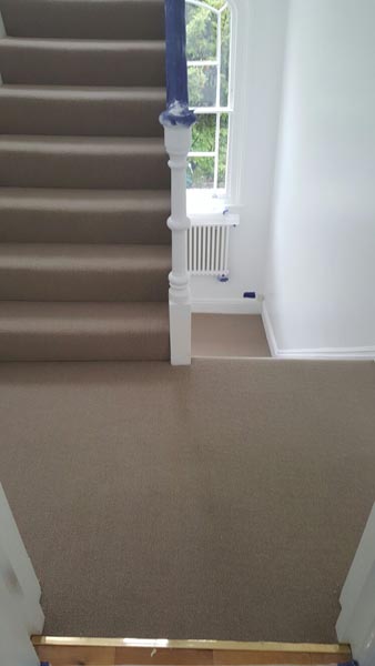 portfolio carpets brown carpet stairs 20160608 15