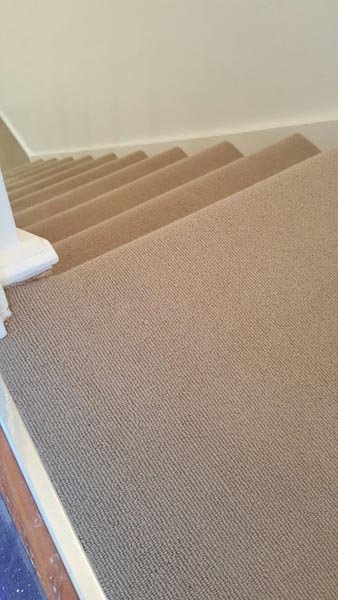 portfolio carpets brown carpet stairs 20160608 23