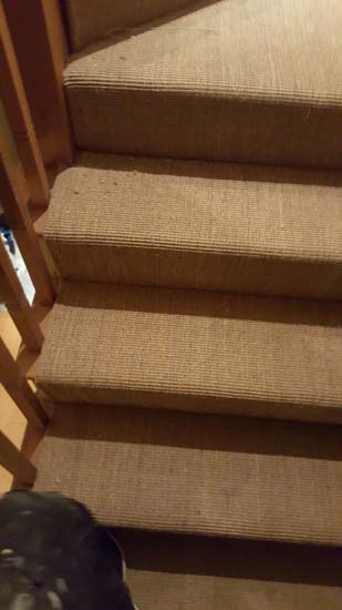 portfolio carpets - brown stairs 07