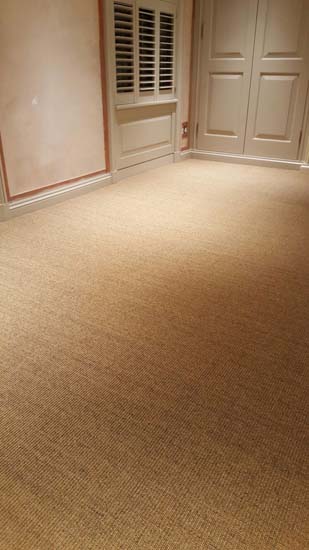 portfolio carpets - grass carpet 02