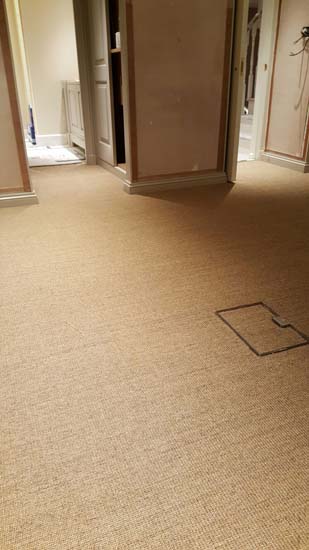 portfolio carpets - grass carpet 05