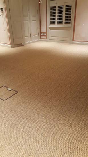 portfolio carpets - grass carpet 06