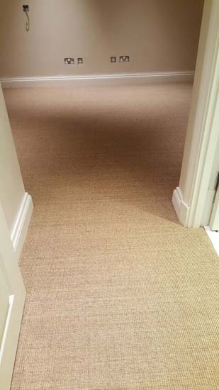 portfolio carpets - grass carpet 08