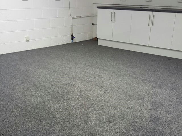 Carpet - Home 36038, overview