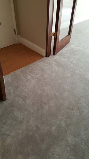 portfolio carpets living areas luxury carpet 04