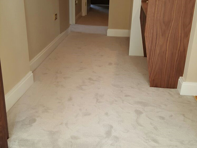 Living Areas Flooring Residential Flooring 6088 - Guide - Carpet