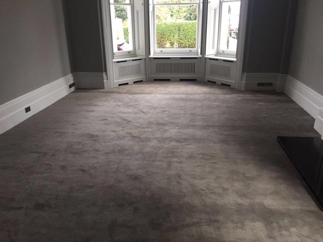 portfolio carpets luxury grey carpet 03 2016-03-02