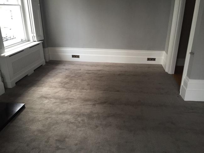 portfolio carpets luxury grey carpet 07 2016-03-02