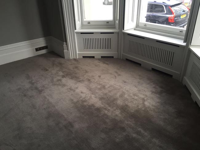 portfolio carpets luxury grey carpet 09 2016-03-02