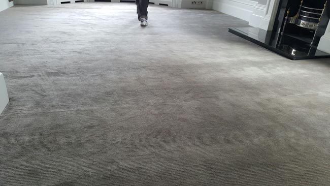 portfolio carpets luxury grey carpet 27 2016-03-02