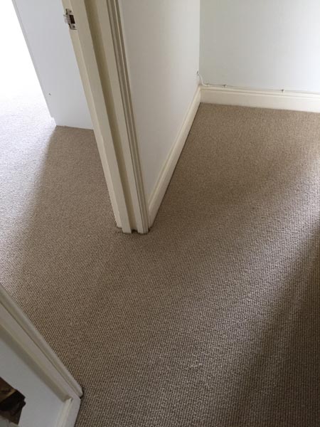 portfolio carpets room brown carpet flat 03